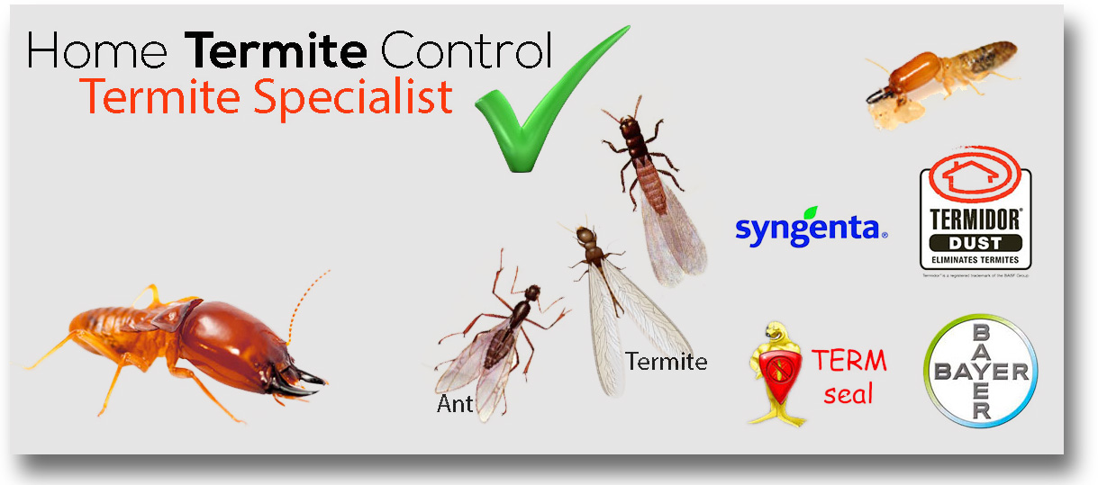 General Pest Termite Control Tips, Management and Termite Prevention Control.