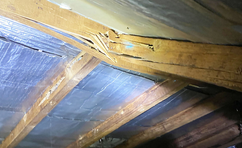 Termite wood damage in beams of house in Sydney -Selling a Termite Infested House Home with Termite Damage