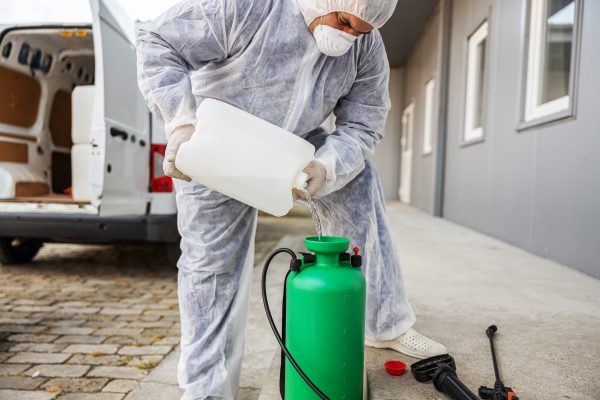 When landlords organise harmful chemicals for cleaning - Real estate termite inspection for home sale