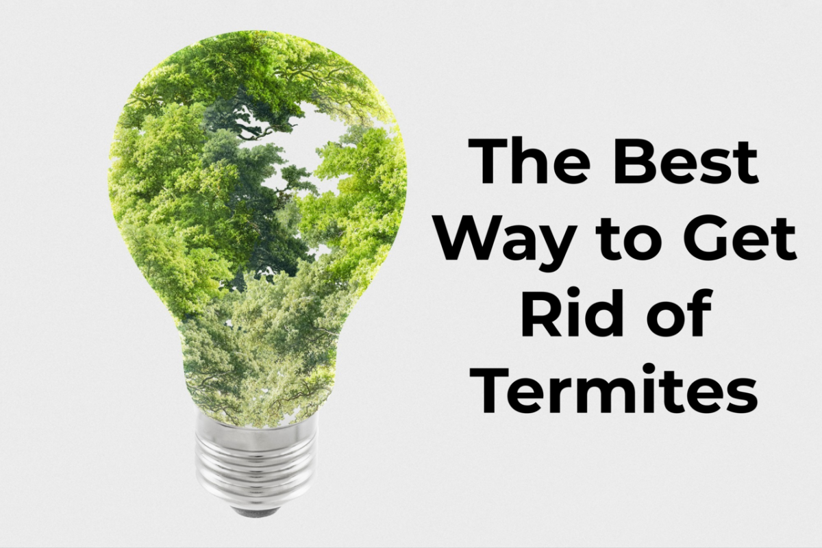 Best way to get rid of termites, finding termite treatment options, advanced pest control. Contact us to get rid of termites from your home.