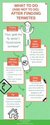 Infographic for finding termite treatment options, advanced pest control. Contact us to get rid of termites from your home.