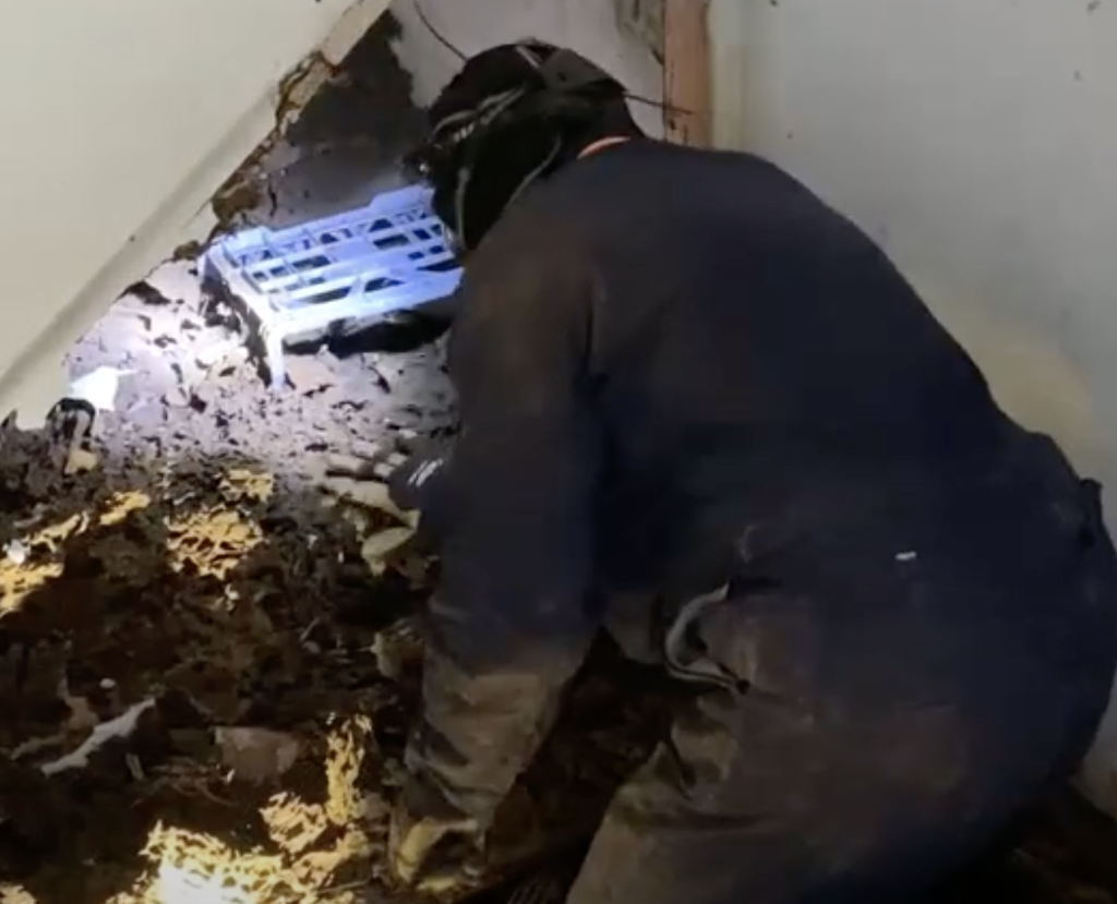 Termite Mud Nest Mound in House and Termite Nest Under House. We Found a Termite Mud Nest Around a milk crate and Electrical Cables.