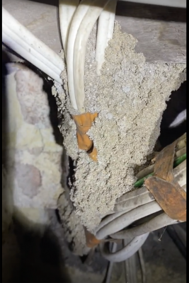 Termite Mud Nest Mound Nest under House. We Found a Termite Mud Nest Around Electrical Cables.