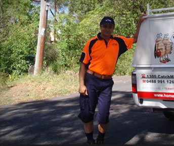 Sydney's best termite inspection and treatment service
