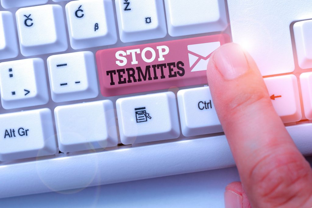 Stop Termites Sydney
